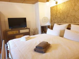 TV a/nebo společenská místnost v ubytování Stillvolle Designwohnung im historischen Zentrum