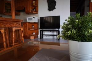 salon z telewizorem i doniczką w obiekcie Apartamento Costa, cerca de la playa y comercios. w Costa Teguise