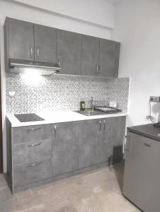 uma cozinha com armários de aço inoxidável e um lavatório em VASO'S APARTMENTS em Tolo