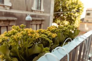 卡塔尼亞的住宿－B&B Palazzo Cerami，坐在长凳上的一束黄色花
