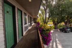 a porch of a house with flowers and a green door at Riviera Motor Lodge in Saratoga