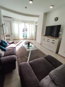 a living room with a couch and a tv at Sole Mio Apartment & Wellness in Herceg-Novi