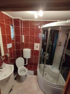 プロイェシュティにある"Apartament"-Casa Geniusのトイレ、洗面台、シャワー付きのバスルーム +17枚の写真