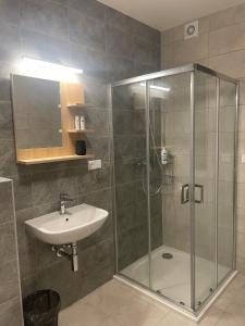 La salle de bains est pourvue d'une douche et d'un lavabo. dans l'établissement Apartmán Studnice na Vysočině, à Nové Město na Moravě