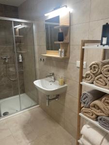 Kúpeľňa v ubytovaní Apartmán Studnice na Vysočině