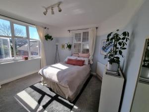 ヘンドンにあるLovely 2 bedroom flat in North West Londonのベッドルーム(ベッド1台、鉢植えの植物付)