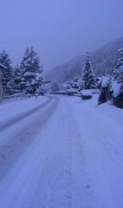 Gasthof Papillon talvel