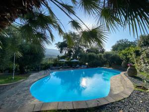 een groot blauw zwembad met stoelen en bomen bij Casa del Pino in Borgo a Buggiano
