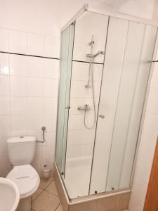 uma casa de banho com um chuveiro e um WC. em Falborek Noclegi em Brześć Kujawski