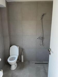 een badkamer met een toilet en een douche bij Penthouse DH Apartments in Oradea