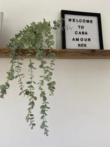 a shelf with a plant and a picture and a sign at Casa Amour Villa in Lourinhã