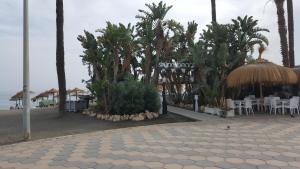 Fotografie z fotogalerie ubytování Sonnenküste Andalusien v destinaci Torre del Mar
