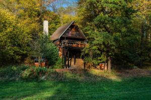 a wooden cabin in the middle of a forest at Wellness chata Sloupnice in Sloupnitz