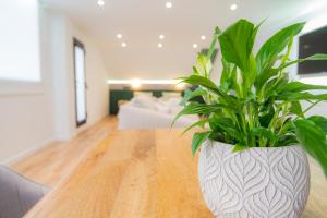 Telewizja i/lub zestaw kina domowego w obiekcie Laguna Home & Suites