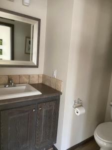 ein Badezimmer mit einem Waschbecken, einem WC und einem Spiegel in der Unterkunft Swan Lake Resort in Galloway