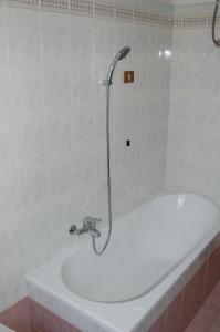 eine Badewanne mit Dusche im Bad in der Unterkunft Villetta degli Ulivi in Santa Rufina