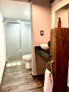 y baño con ducha, lavabo y aseo. en Independencia Dos 7 Hotel Boutique en Querétaro