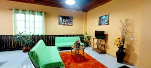 een woonkamer met een groene bank en een televisie bij Apartamentos Villa in Ponta do Sol
