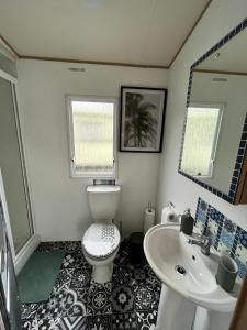 a bathroom with a toilet and a sink at JS Holidays Tebay Lagganhouse in Ballantrae