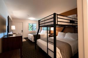 SaratogaにあるRiviera Motor Lodgeの二段ベッド2台、デスクが備わる客室です。