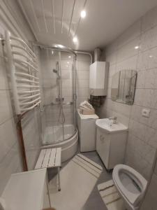 a bathroom with a toilet and a shower and a sink at Mieszkanie nad Sanem in Przemyśl
