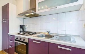 Kuchyň nebo kuchyňský kout v ubytování Apartment Ana