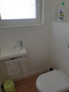 a bathroom with a white toilet and a sink at Villa Meyronnes in Barcelonnette