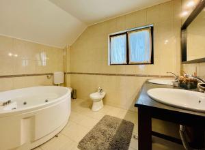 La salle de bains est pourvue d'une baignoire, d'un lavabo et de toilettes. dans l'établissement Hermesvilla, à Băile Felix