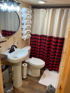 baño con cortina de ducha a cuadros y aseo en Knotty Pines Cabin near Kentucky Lake, TN en Springville