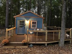 a blue tiny house on a deck in the woods at Knotty Pines Cabin near Kentucky Lake, TN in Springville