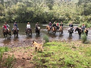 un grupo de personas montando caballos en un río en Pousada Morro Grande en Bom Jardim da Serra