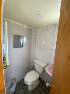 a bathroom with a toilet and a pink sink at World's End Hostal in Puerto Natales