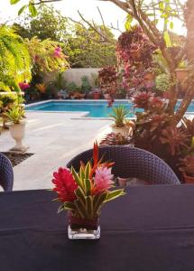 Piscina di Vaea Hotel Samoa o nelle vicinanze