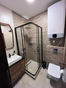 een badkamer met een douche, een wastafel en een toilet bij Bed & Wine Djonovic in Virpazar