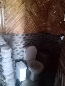 a bathroom with a toilet in a stone wall at Mirador Valle de la Tatacoa in Villavieja