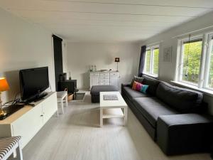 a living room with a couch and a tv at Holiday home HJÄRNARP II in Hjärnarp