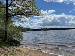 a tree on the shore of a body of water at Holiday home HJÄRNARP II in Hjärnarp
