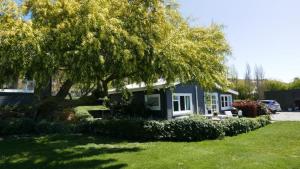 mały niebieski dom z drzewem w ogrodzie w obiekcie Rabbit Wardens Cottage w mieście Queensberry