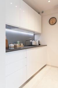 Kuchyň nebo kuchyňský kout v ubytování Baltique Apartment - Silamar Zaciszna