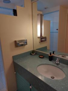 um balcão de casa de banho com um lavatório e um espelho em Res MARINA-CARAYOU 1 em Les Trois-Îlets