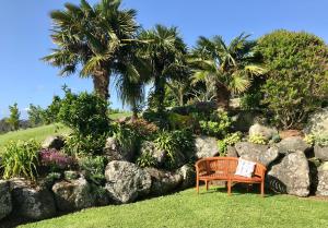 un banc dans un jardin avec des palmiers et des rochers dans l'établissement Sunset Point Kerikeri, à Kerikeri