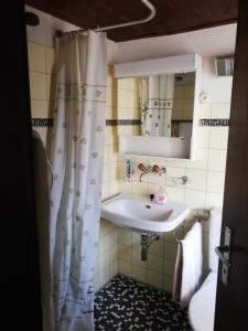 a bathroom with a sink and a shower curtain at Semplice casa in Bellinzona