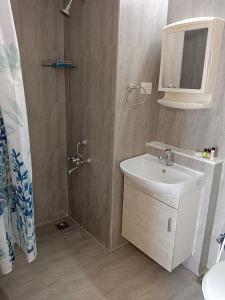 La salle de bains est pourvue d'un lavabo, d'un miroir et d'une douche. dans l'établissement Nirvana Paraiso, à Marmagao