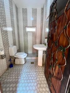 La salle de bains est pourvue de toilettes et d'un lavabo. dans l'établissement Bedouin Garden Village, hotel Dive, à Aqaba