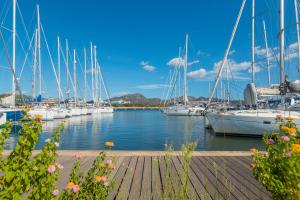 a bunch of boats docked in a marina at Olbia Mare Apartment in Olbia