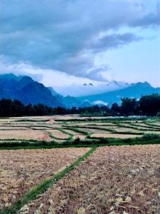 a field of crops with mountains in the background at Phoxay Ngam Resort in Vang Vieng