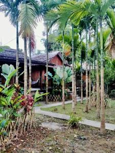 a house with palm trees in front of it at Phoxay Ngam Resort in Vang Vieng
