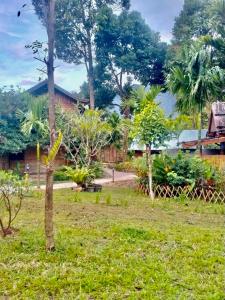 a view from the garden of the cottage at Phoxay Ngam Resort in Vang Vieng