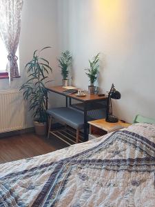 a desk in a bedroom with a bed and a desk with a chair at Pr' Šovarjo in Zgornje Gorje