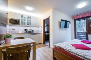 Kuchyň nebo kuchyňský kout v ubytování Apartmány Slunce